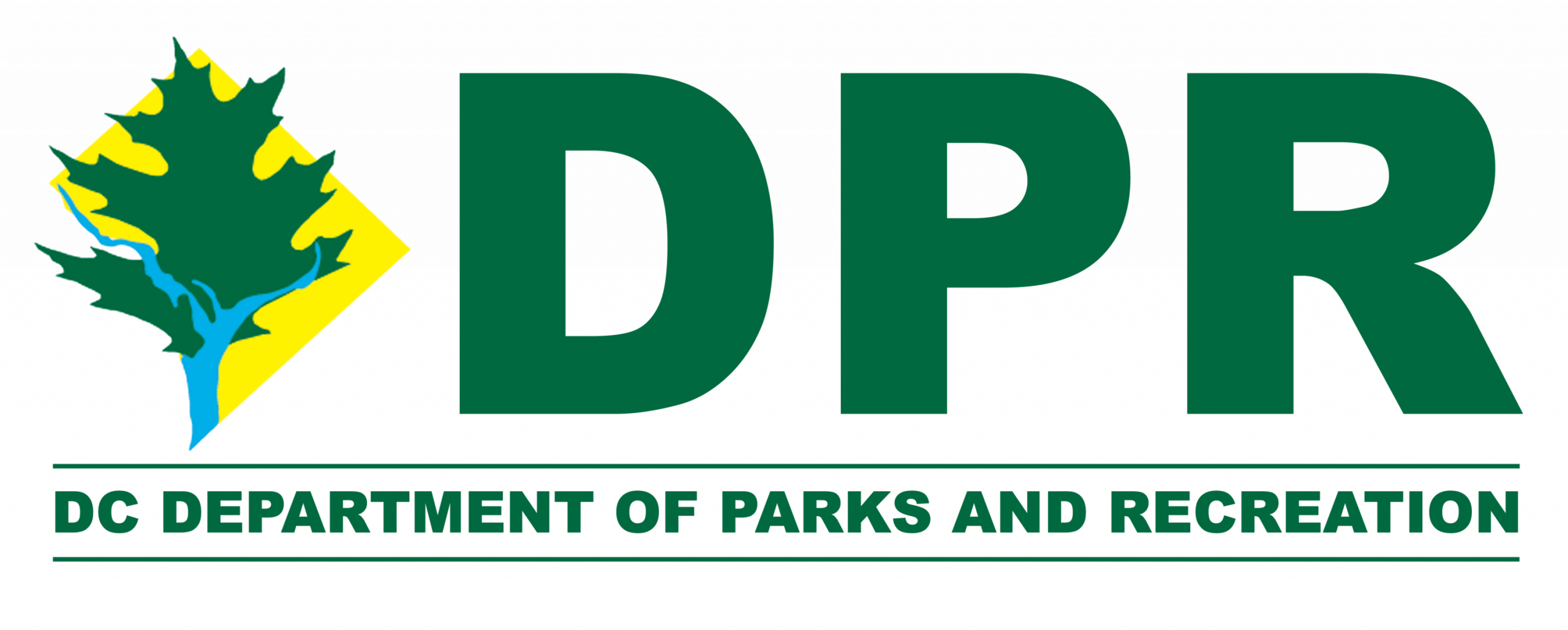 38160ccf51e903124b017050ce91b5aa.dpr logo